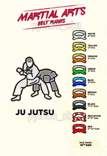 Pósters Aikido Capoeira Jiu Jitsu Judo Ju Jutsu - 42x30cm