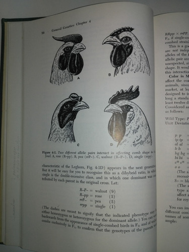 General Genetics. Autores Srb Y Owen. San Francisco, 1957 (Usado)