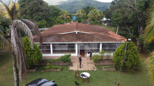 Imagen 2 de 9 de Finca En Venta Bejuma Altos De Reyes Carabobo Gavip