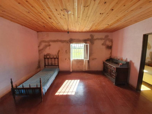 Imagen 26 de 30 de Molino Doll, Campo De 9 Hectáreas Con Casa, Sobre Ruta Y Con Costa De Arroyo