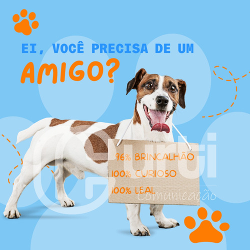 Imagem 5 de 6 de Pack De Artes Prontas Para Rede Social Pet Shop