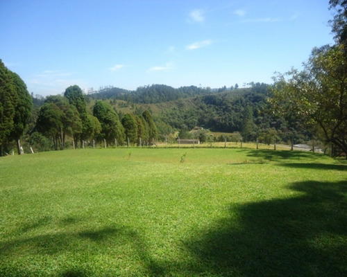 Imagem 9 de 12 de Sitio À Venda Em Juquitiba; Sitio Em Juquitiba; Sítio Com Boa Topografia; - 98 - 32982565