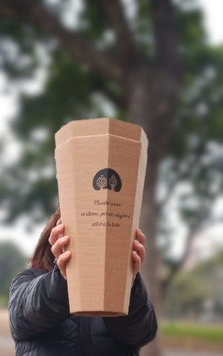Imagen 10 de 10 de Urnas Para Cenizas Biodegradable Vida Savia