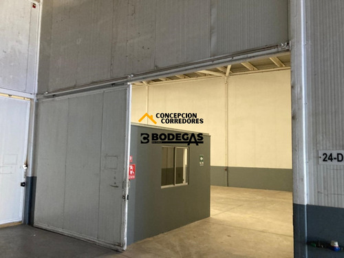 Arriendo Bodega C/of De 234 M2 En Ruta Los Libertadores.