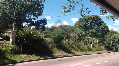 Area - Ar00007 - 68772282