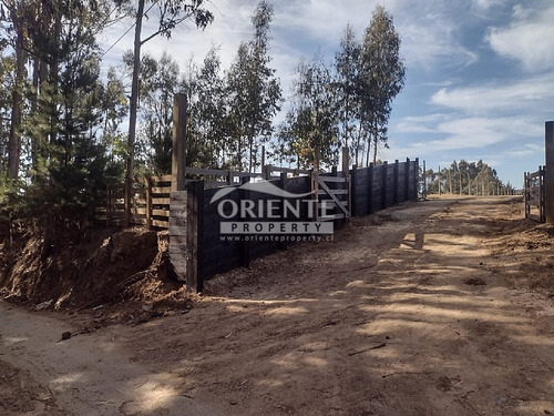 Oferta Sitios En Condominio Punta De Lobos Pichilemu