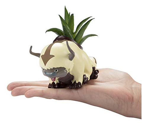 Macetero De Appa Flying Bison De Avatar
