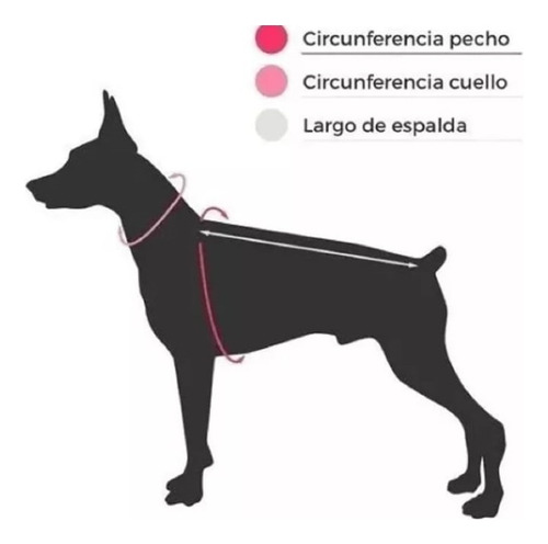 Camiseta De Racing Para Perros Y Gatos Talle Xl
