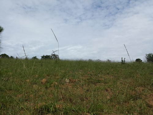 Imagem 4 de 8 de Terreno Para Venda No Maracanã Em Jarinu - Sp - 40