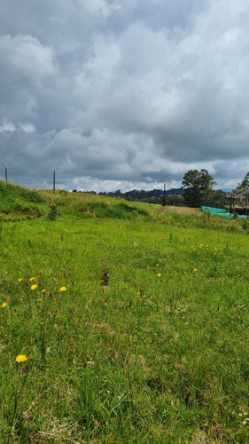 Lote Plano Para Inversion O Construir Envigado Alto De Las Palmas