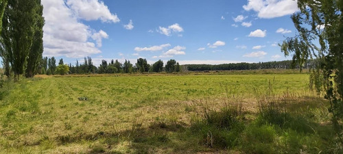 Imagen 22 de 25 de Venta Chacra Casa 2 Dormitorios Galpón - Picun Leufú Neuquén
