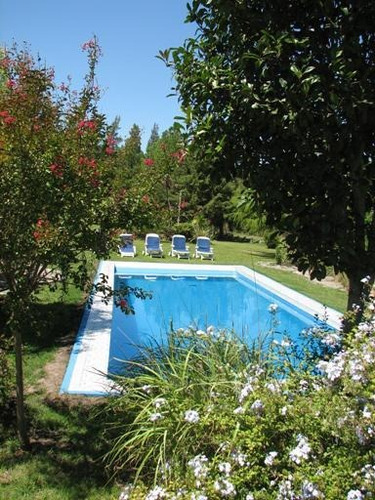 Alquiler De Chacra En Colonia