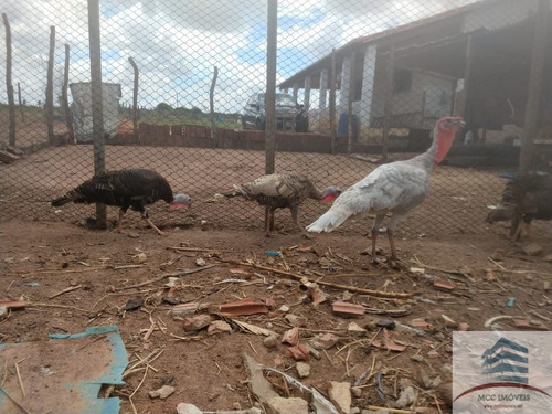 Imagem 13 de 30 de Granja A Venda Em Macaíba