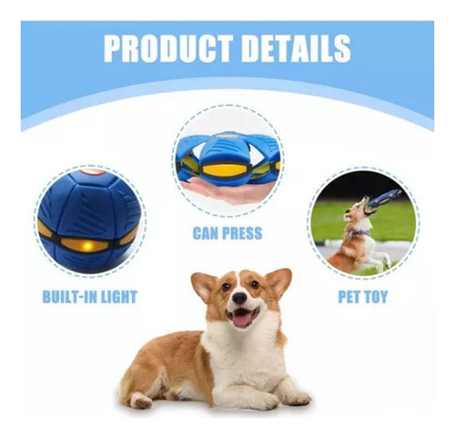 Ejercicio De Pelota Que Rebota Al Aire Libre Para Perros, Pi