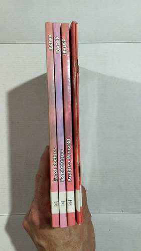 Lote Livros Curso Teologia Ibadep Lote B - L1 (Usado)