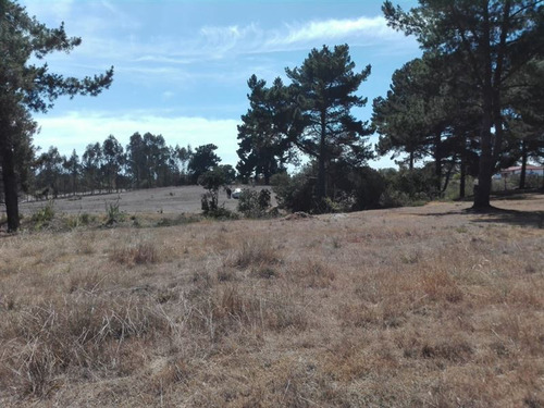 Sitio En Algarrobo!bajo El Valor De Tasación, Ofertón!