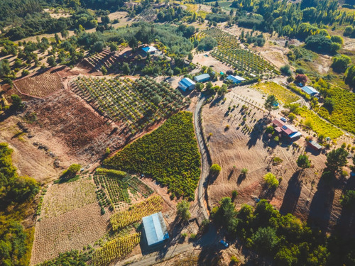 Parcela Forestal En Ñipas, Ranquil.