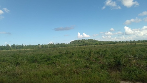 Vendo Finca En Cruce De Mela Monte Plata 1,027 Tareas Es Bordeada Por Una Carretera Con Su Tendido De Luz Por Todo El Frente, Tiene El Rio Por Un Costado 