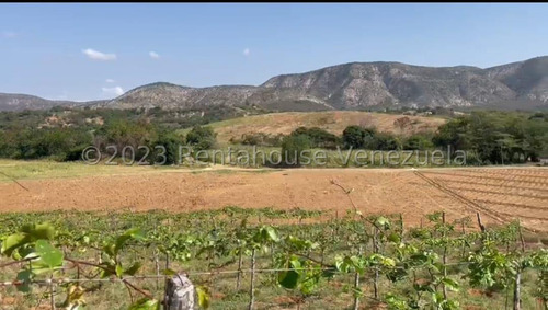 Carlos Colmenarez Vende Fabulosa Finca De 13ha. Con: 2 Lagunas, Agua Por Buco A Gravedad, Posee Electricidad 110 Y 220, Ubicada A Pocos Minutos Del Centro Del Tocuyo Con Acceso Directo De La Autopista