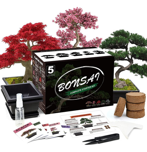 Kit De Árbol Bonsái Con Herramientas Completas De Cultivo De