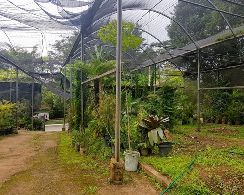 Imagem 5 de 15 de Terreno A Poucos Metros Da Av. Vicente Rao. - Reo50435