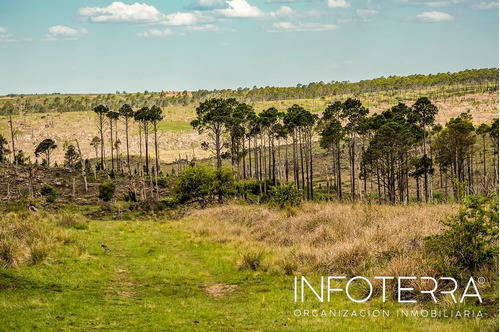 Imagen 11 de 13 de Loteo Villa Yacanto. Portales Del Champaqui. Córdoba