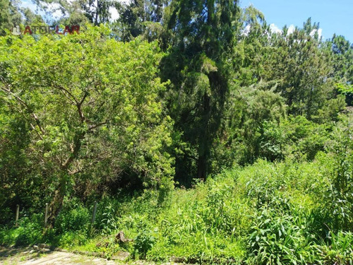 Imagem 1 de 6 de Terreno À Venda, 9500 M² Por R$ 2.300.000,00 - Vila Nova - Porto Belo/sc - Te0083