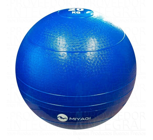 Balón Pelota Medicinal C/ Peso Inflable 20 K Azul Miyagi