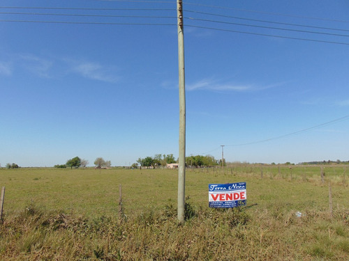 Imagen 1 de 10 de Campo De 10 Has Ideal Loteo