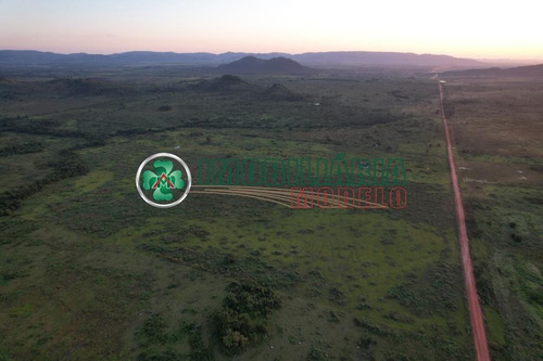 Imagem 24 de 25 de Fazenda Para Arrendamento Em Santana Do Araguaia - Pa (cód. 219)