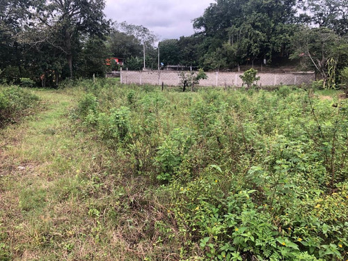 Imagen 10 de 14 de Terreno - San Juan Bautista Tuxtepec