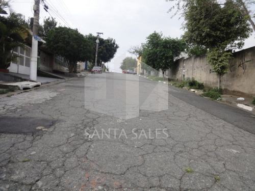 Imagem 12 de 12 de Terreno Com Casas Velhas, Excelente Para Construtores - Ss14569