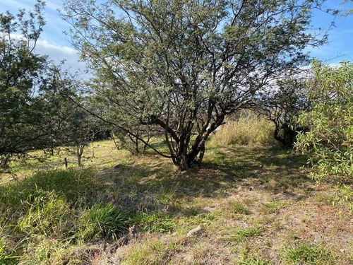Imagen 4 de 4 de Venta Lote En Country La Rufina