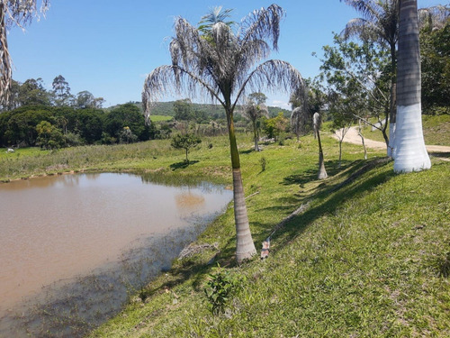 Imagem 7 de 26 de Tm- Vendo Lote Barato Tratar Direto Com Proprietário