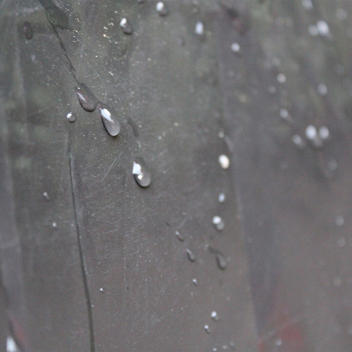Imagen 9 de 10 de Cartuchera Escolar Impermeable Ecológica Con Cierre Lisa