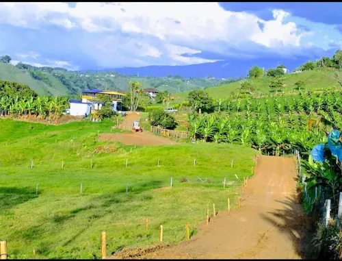 Venta De Finca De 21 Cuadras Cerca De Arabia