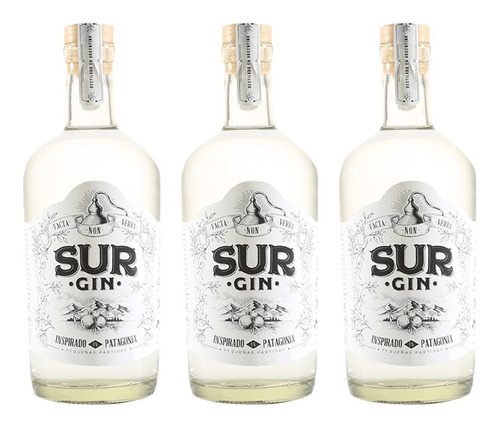 Gin Sur Inspirado En Patagonia 750ml X3 Unidades