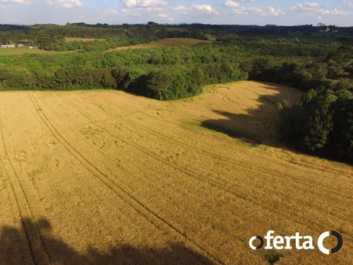 Imagem 3 de 9 de Chacara - Tiete - Ref: 741 - V-741