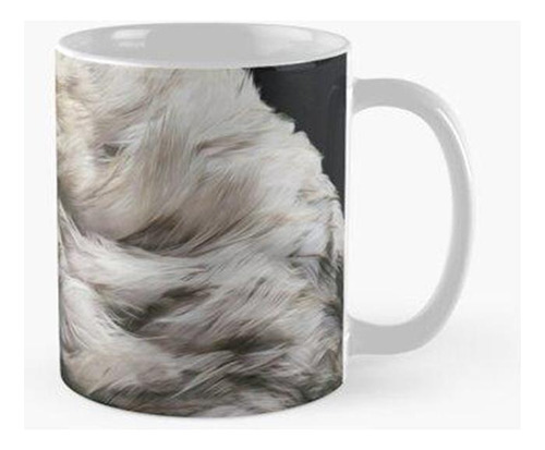 Taza Animales Aves Pollos Gallina Plumas Blancas Calidad Pre