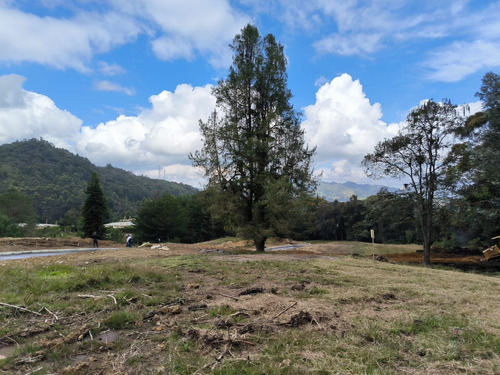 Hermosos Lotes Urbanizados Con Ambiente Campestre En La Ceja