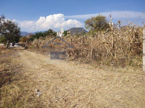 Venta De Terreno En Yautepec