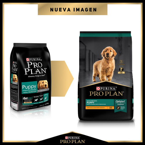 Kit Pro Plan Complete 3kg + 2 Sobres Plato Medidor Juguete