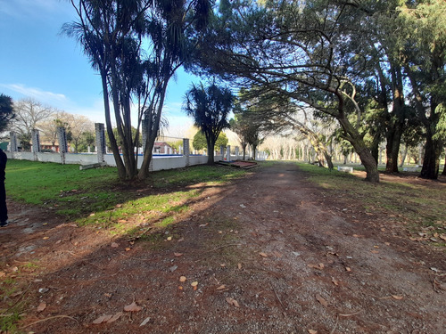 Venta De Camping - Ruta 226