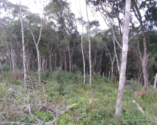 Imagem 6 de 15 de Terreno - 03870 - 33228930