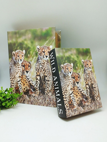 Kit Com 2 Caixas Em Formato De Livro Decorativa África