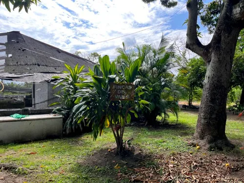 Villa Gorgona, 12.800 M2, Finca En Venta