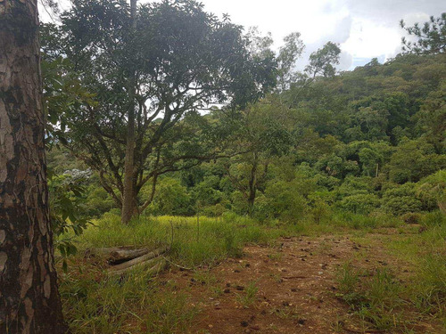 Imagem 8 de 14 de Terreno, Centro, Pirapora Do Bom Jesus - R$ 1.200.000,00, 430m² - Codigo: 234967 - V234967