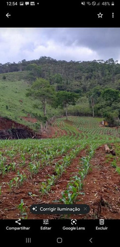 Imagem 14 de 14 de Terreno Para Venda Em Piranga, Zona Rural - T39_1-1651875