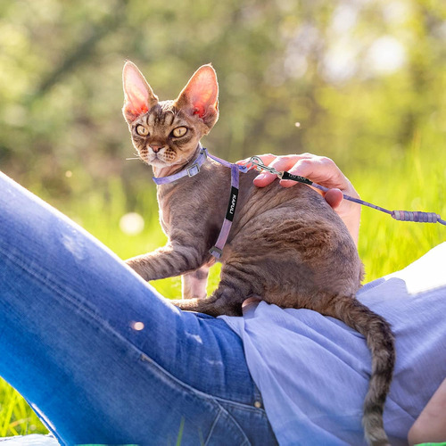 Tiesome Juego De Arnés Y Correa Para Gatos, Arnés Ajustable
