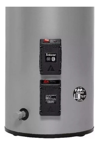 Termotanque eléctrico Señorial Family TTS-120 EAR gris plata 120L 220V